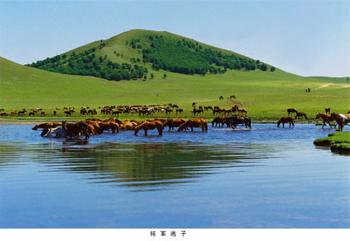 �������Y