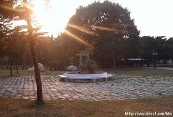 �������Y