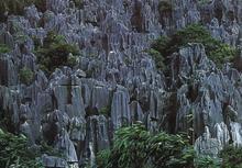 �������Y