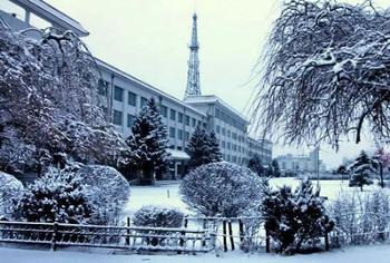 �������Y