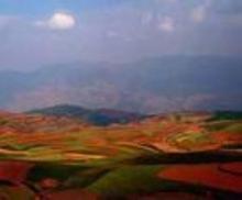 �������Y