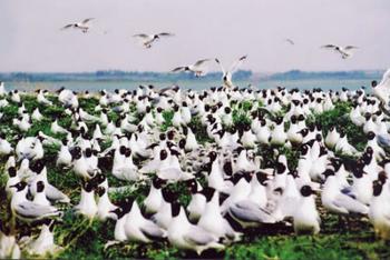 �������Y