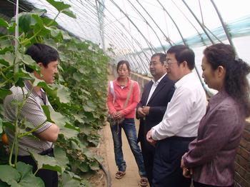 �������Y