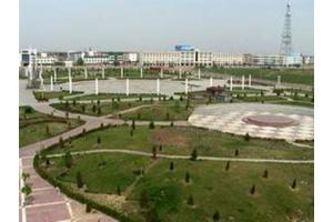 �������Y