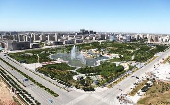 �������Y