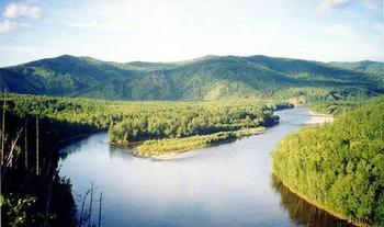 �������Y