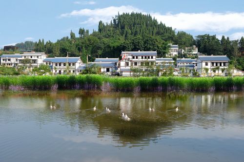 �������Y