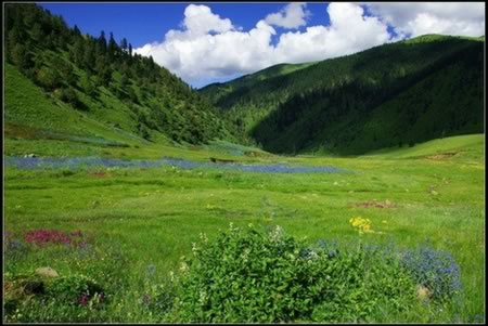 �������Y