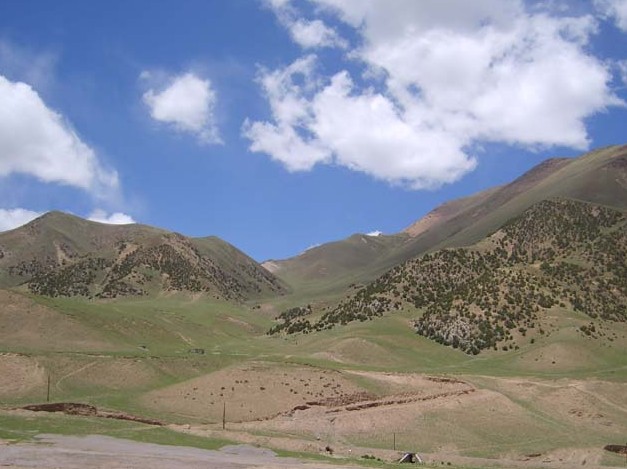 �������Y