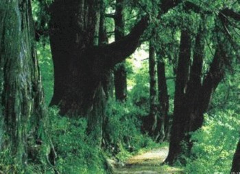 �������Y