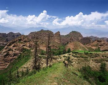 �������Y