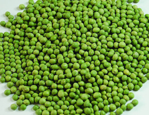 �������Y