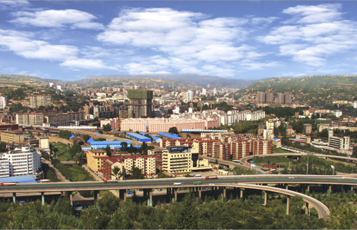 �������Y