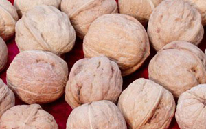 �������Y