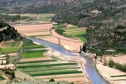 �������Y