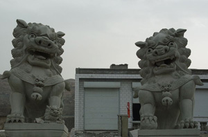 �������Y