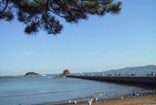 �������Y