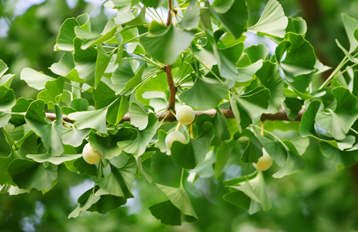 �������Y