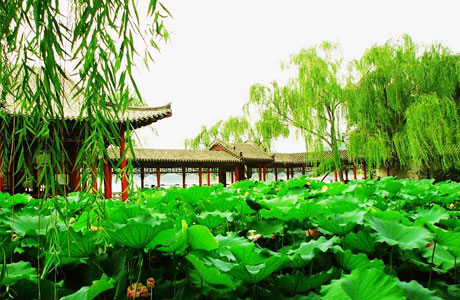 �������Y