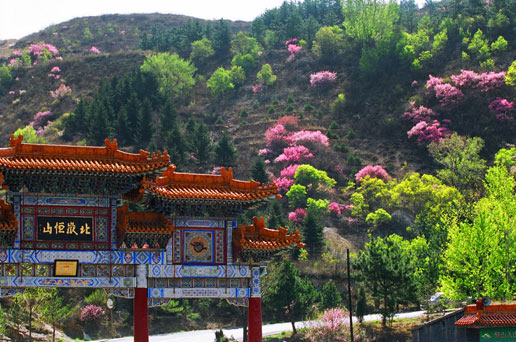 �������Y