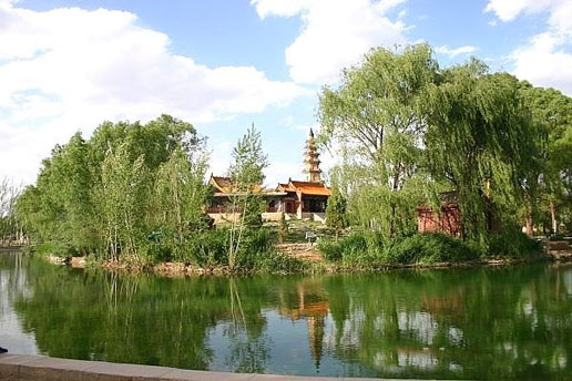 �������Y