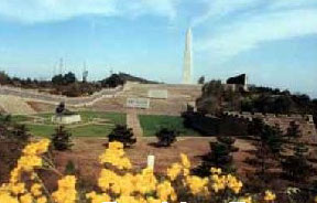 �������Y