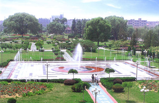 �������Y