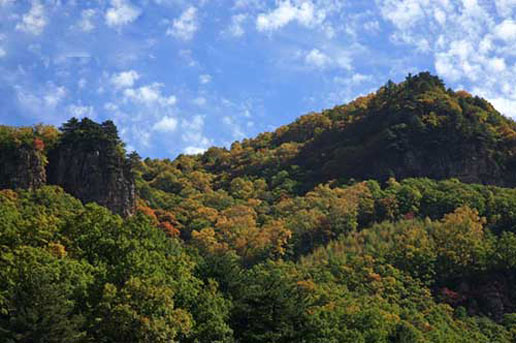 �������Y