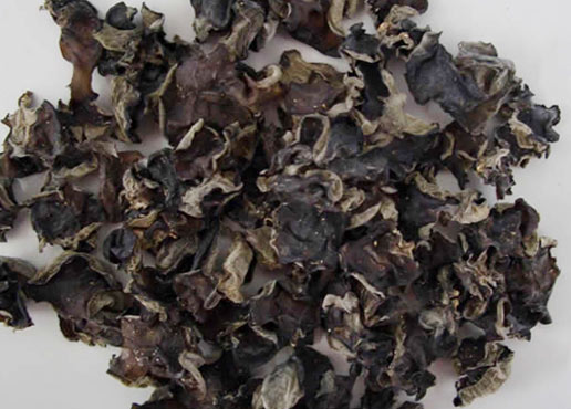 �������Y