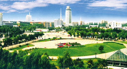 �������Y