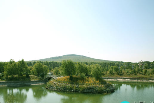 �������Y