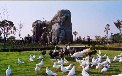 �������Y