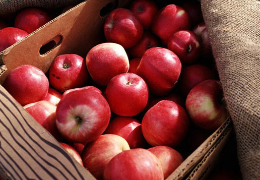 �������Y