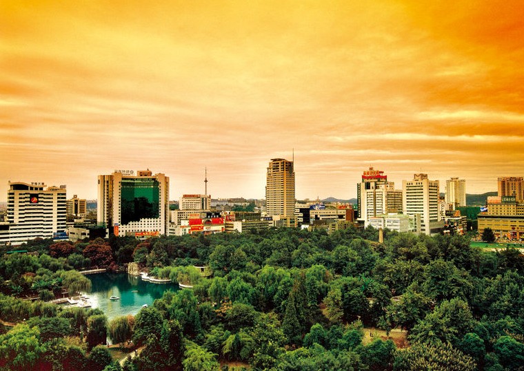 �������Y