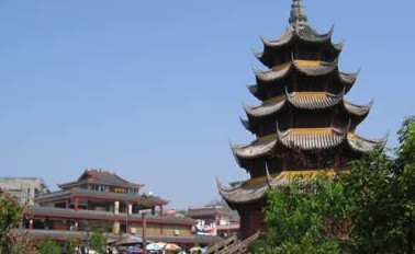 �������Y