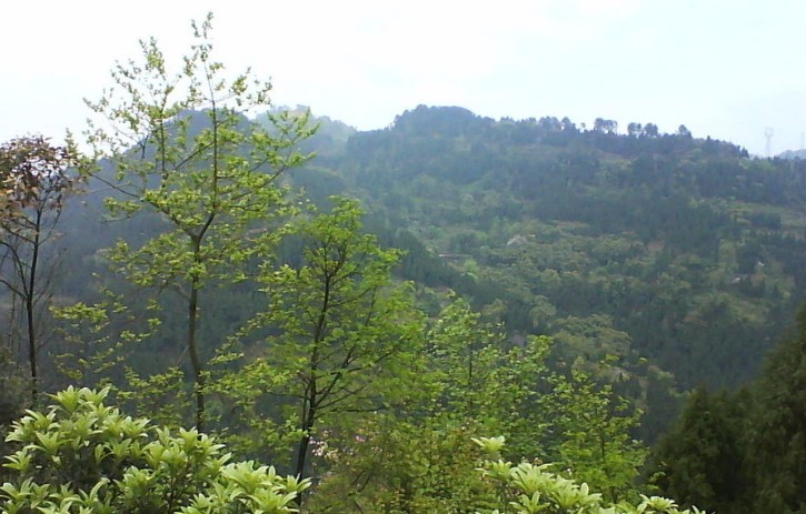 �������Y