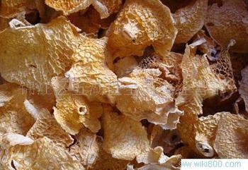 �������Y