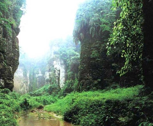 �������Y