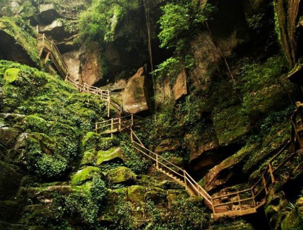 �������Y