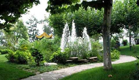 �������Y