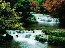 �������Y