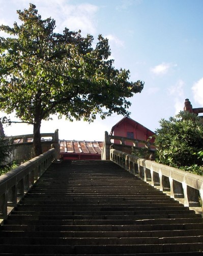 �������Y