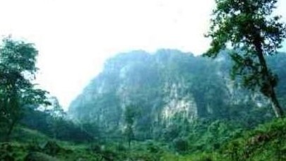 �������Y