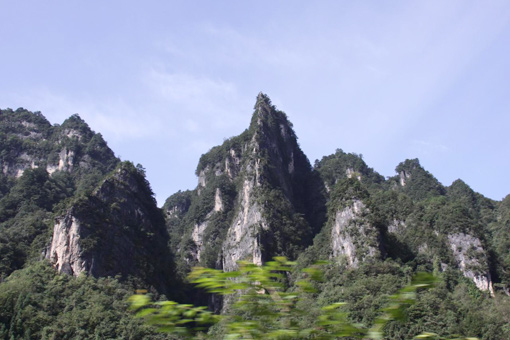 �������Y