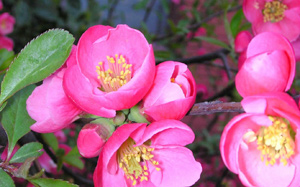 �������Y