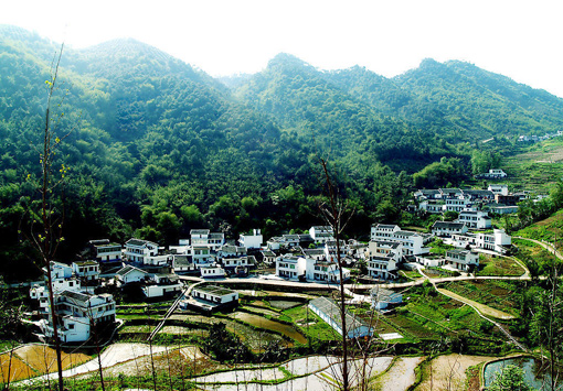 �������Y