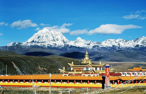 �������Y