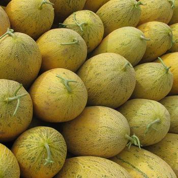 �������Y