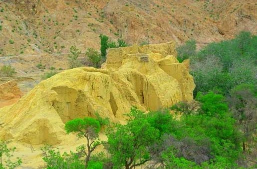 �������Y