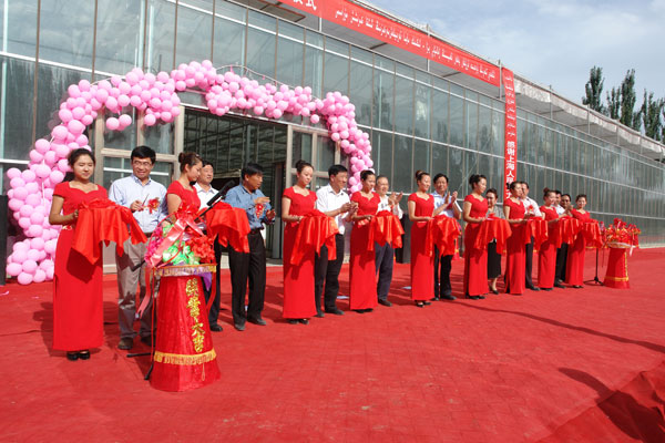 �������Y